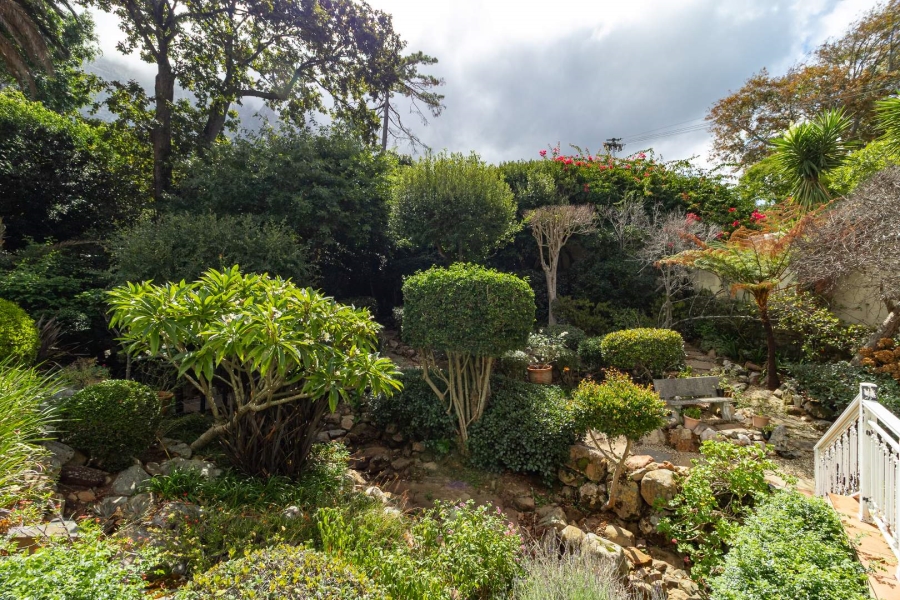 To Let 3 Bedroom Property for Rent in Newlands Western Cape